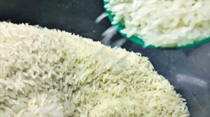 Arroz - Preço dos Produtos Agropecuários