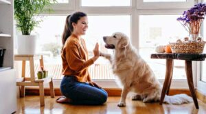 Dicas de Organização para quem Tem Pet em Casa