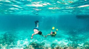 Turismo Caribe