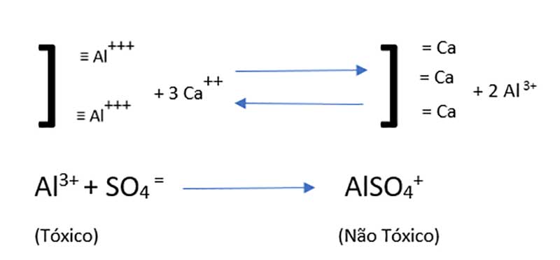 Afocapi - Gesso Agrícola