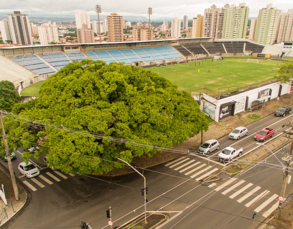 2022_12_06_ESALQ_ACOM_GW_Sapucaia_no_Estadio_do_XV_0018