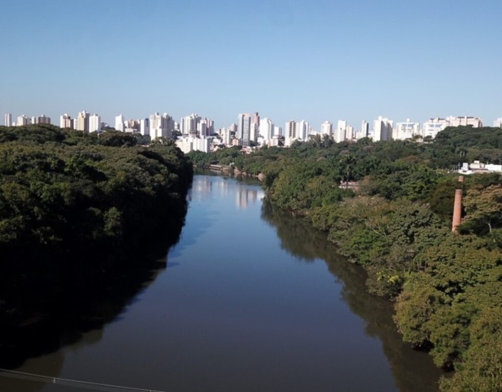 7ª Edição do Dia Mundial da Limpeza neste sábado (21) mobiliza colaboradores da Mirante