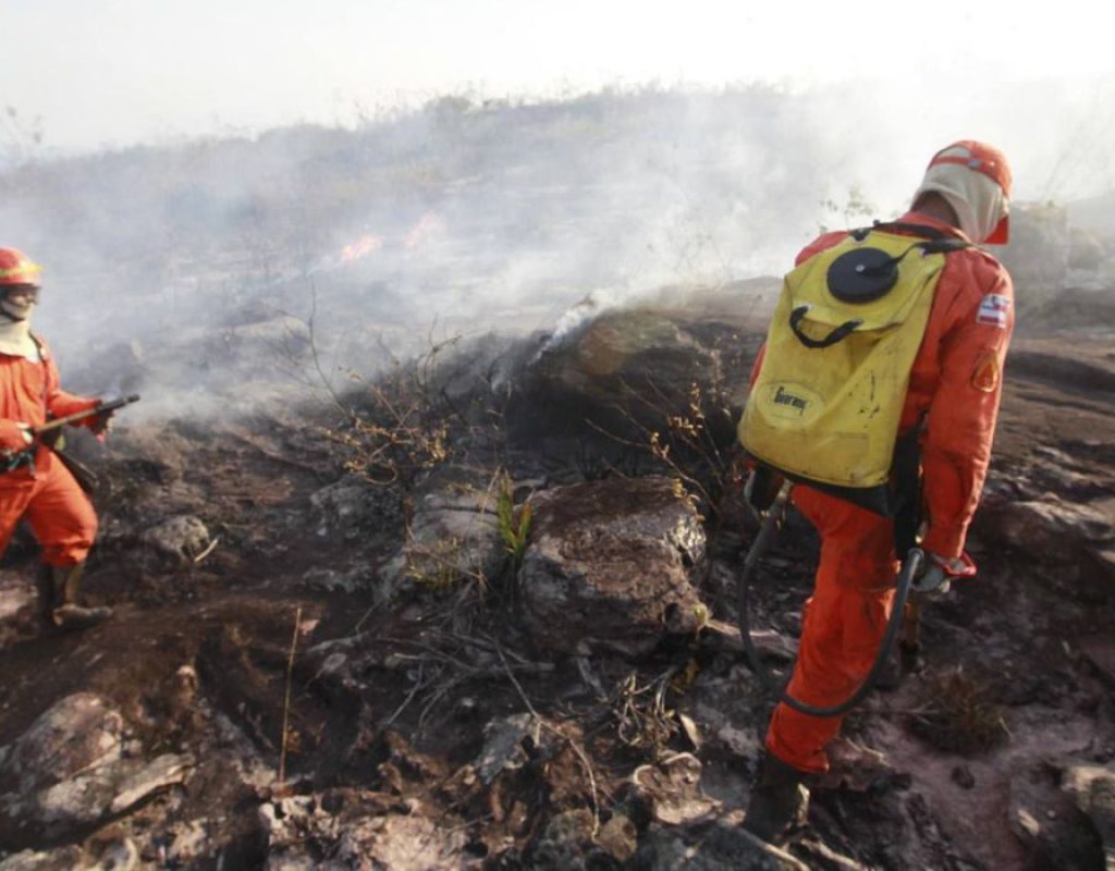 Brigadistas combatem o incêndio na Chapada Diamantina  (Mateus Pereira/GOVBA)