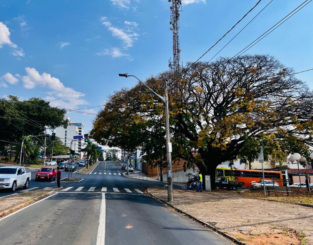 A análise e a solicitação de poda teve aval do Conselho de Defesa do Patrimônio Cultural (Codepac), necessário porque a Sapucaia é tombada como patrimônio da cidade - Maycon Barbon