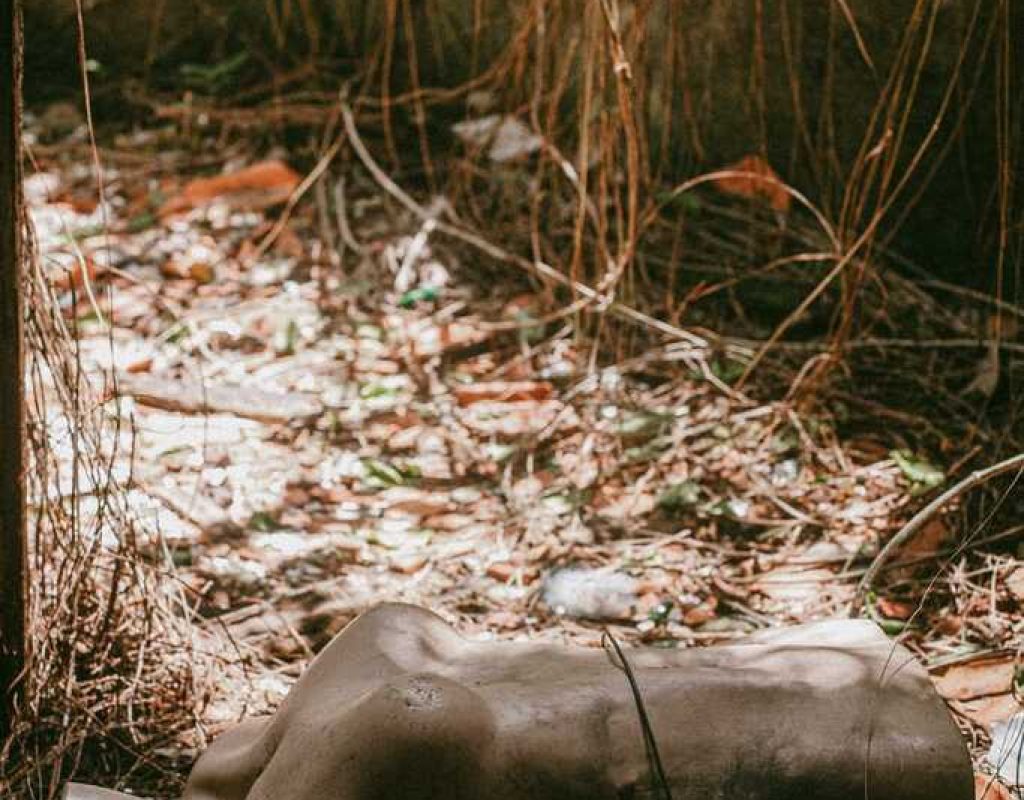 A proposta de Ruínas é olhar para espaços esquecidos da cidade