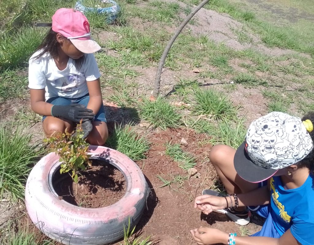 Ação também contou com plantio de árvores nativas no entorno do centro social do bairro Tatuapé II