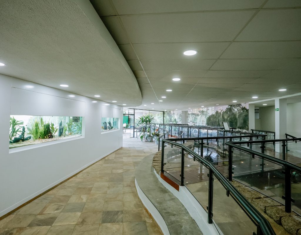 Aquário Municipal Ilda Borges Gonçalves foi inaugurado em 19 de setembro de 2012