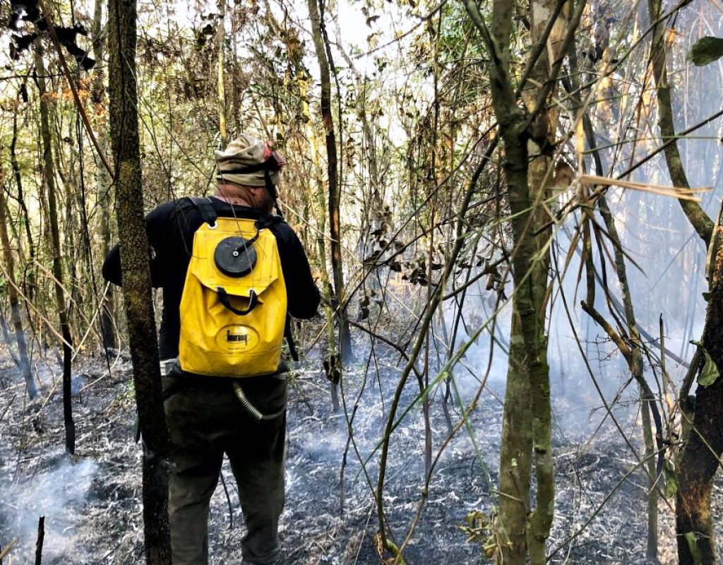 Brigadista auxilia no combate ao fogo. Foto DivulgaçãoGoverno de São Paulo