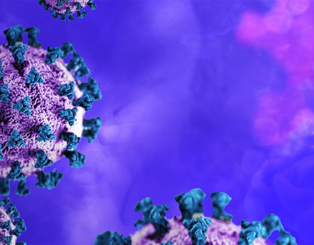 CAPA NOVO VIRUS