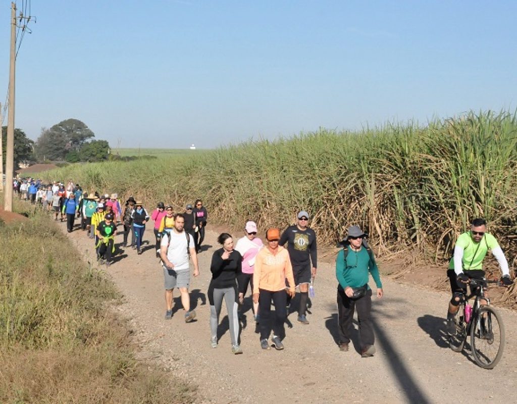 Caipirandando chega à quinta edição de 2023 em junho - Foto Divulgação