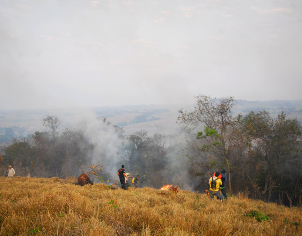 Capacitação de brigadistas agroecológicos acontece no domingo