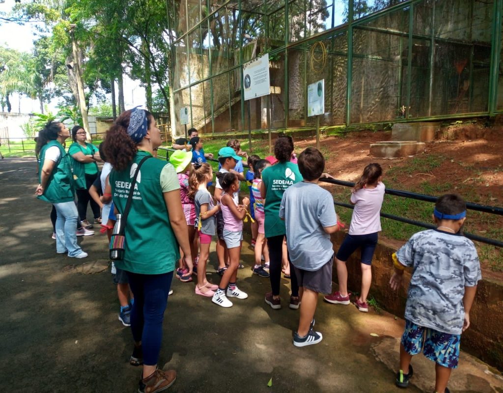 Com o tema Desvendando a vida no Zoo, o Animaférias terá atividades gratuitas direcionadas a crianças de sete a 10 anos