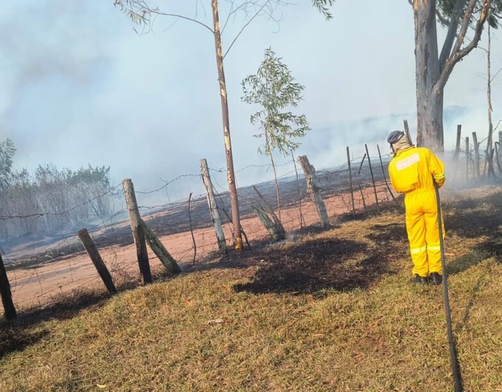 Defesa Civil, Corpo de Bombeiros, brigadistas e moradores auxiliam no combate às chamas