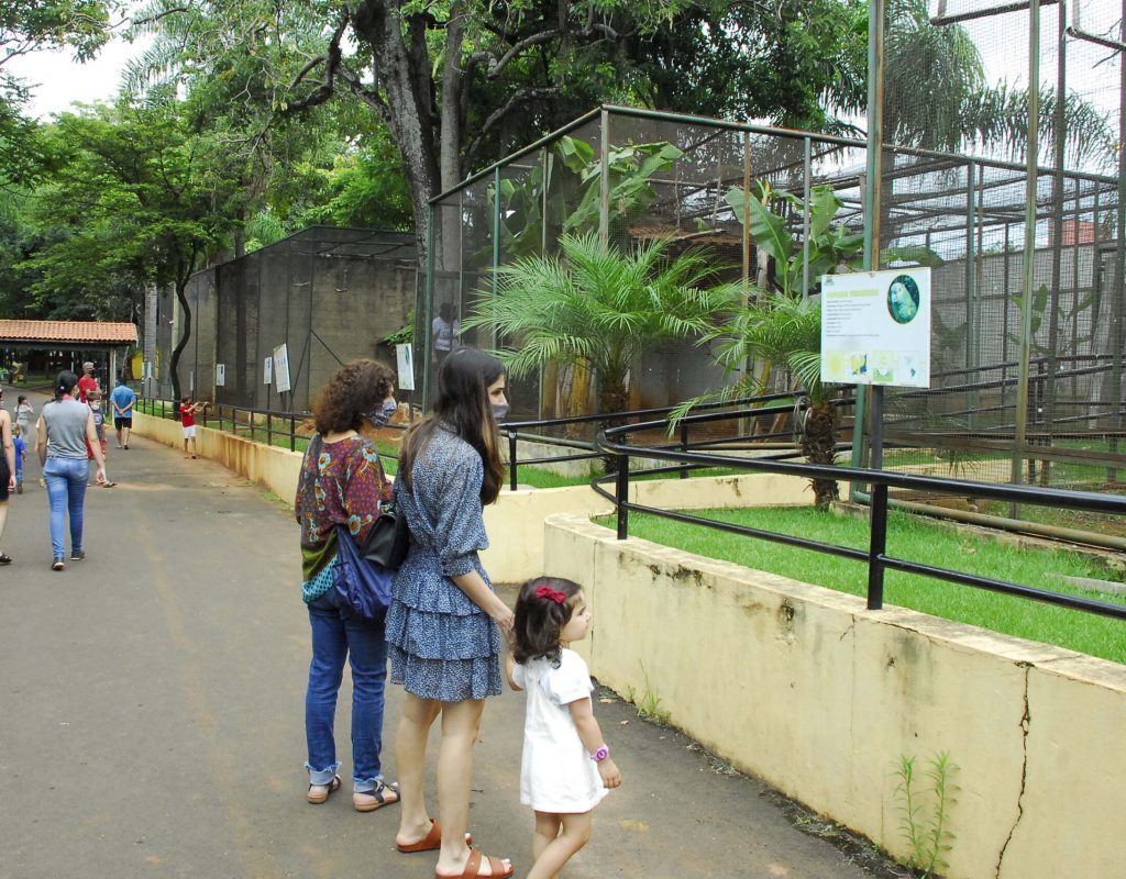 Dia Nacional de Urubuzar acontece no Zoo Municipal de 8 a 12-11, focando na sensibilização da sociedade sobre os impactos de rodovias e ferrovias na biodiversidade - Justino Lucente