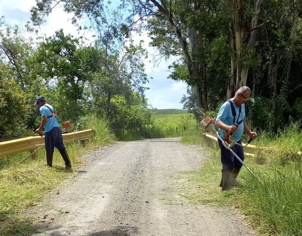 Equipe fez a limpeza de vegetação em torno de pontes e placas de sinalização