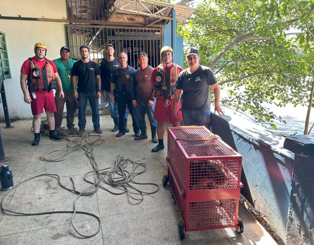 Equipe que realizou o resgate da manhã de hoje, no rio Piracicaba. (Foto: Divulgação)