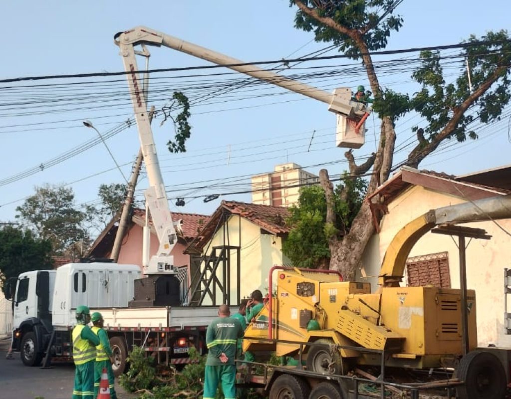 Força-tarefa realiza retirada de árvore que caiu sobre casa na rua Frei Jacinto, no bairro Higienópolis