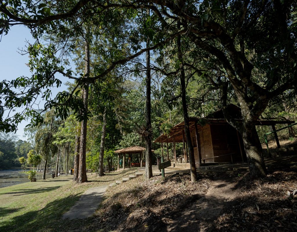 Horto Florestal de Tupi completa 100 anos neste mês