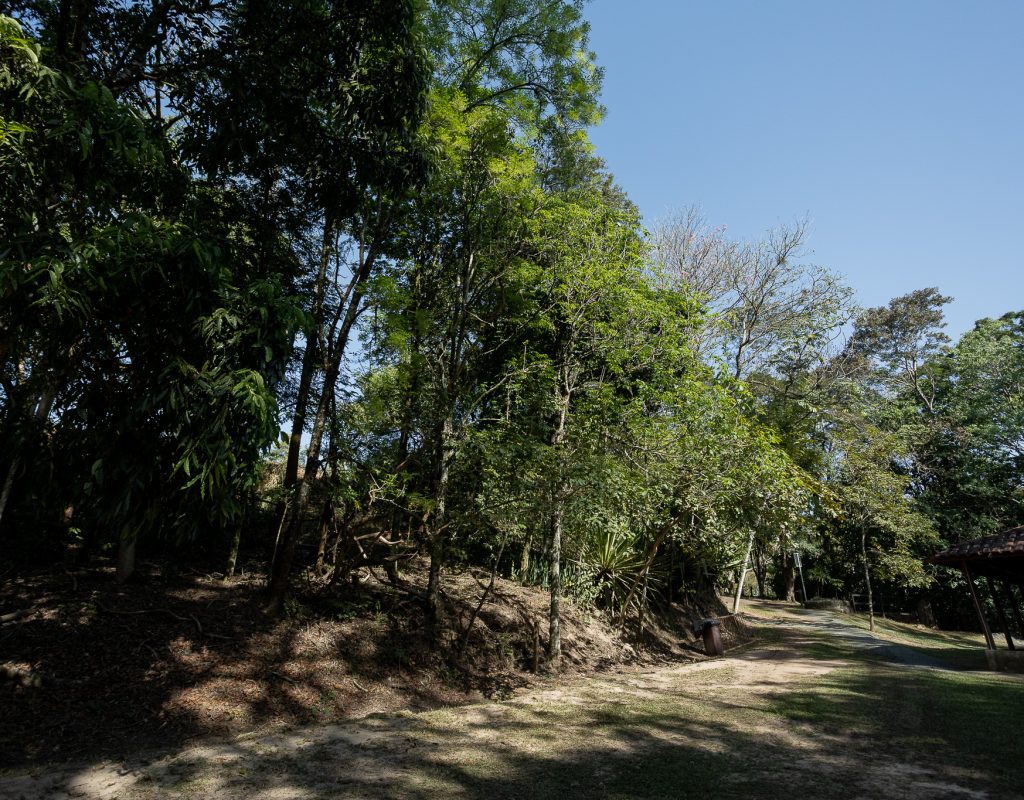 Horto de Tupi sera o ponto final da 2__ Caminhada Historica - FOTO Isabela Borghese