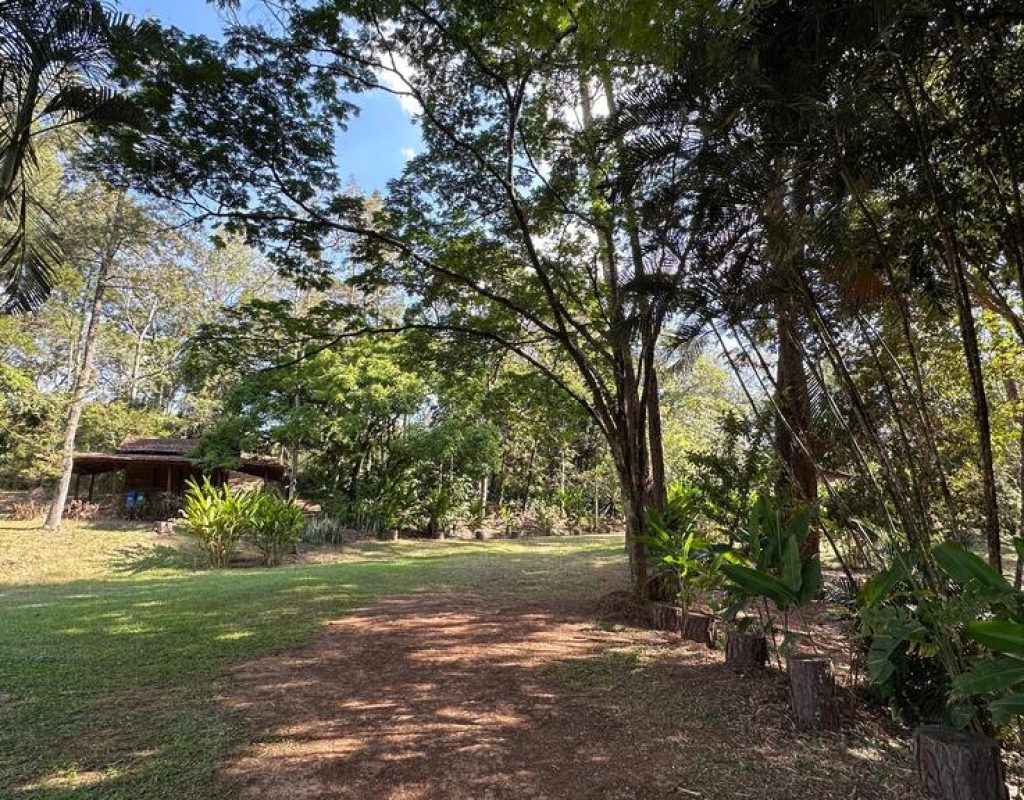 Horto de Tupi vai receber várias atividades na Semana do Meio Ambiente