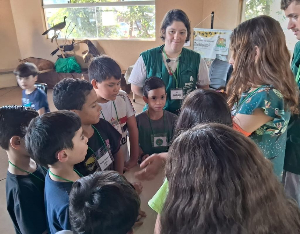 O Animaférias acontecerá no zoológico municipal para crianças de 7 a 10 anos. (Foto: Divulgação)