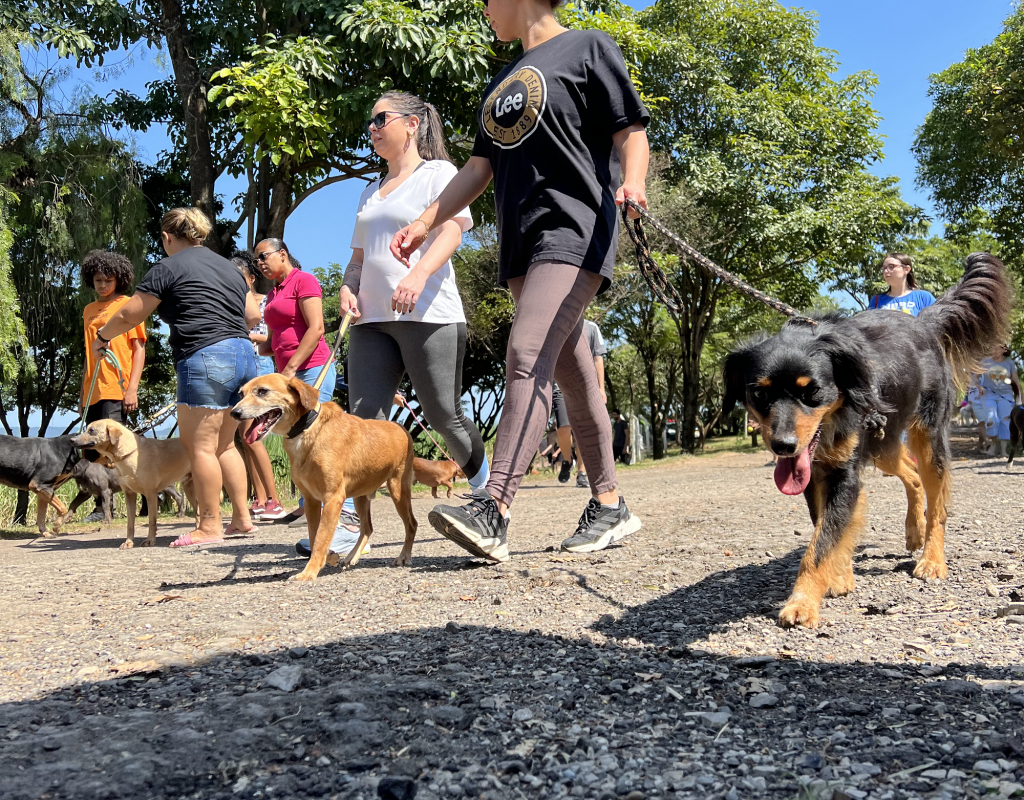 O evento tem como objetivo promover um espaço de acolhimento para os cachorros e seus tutores