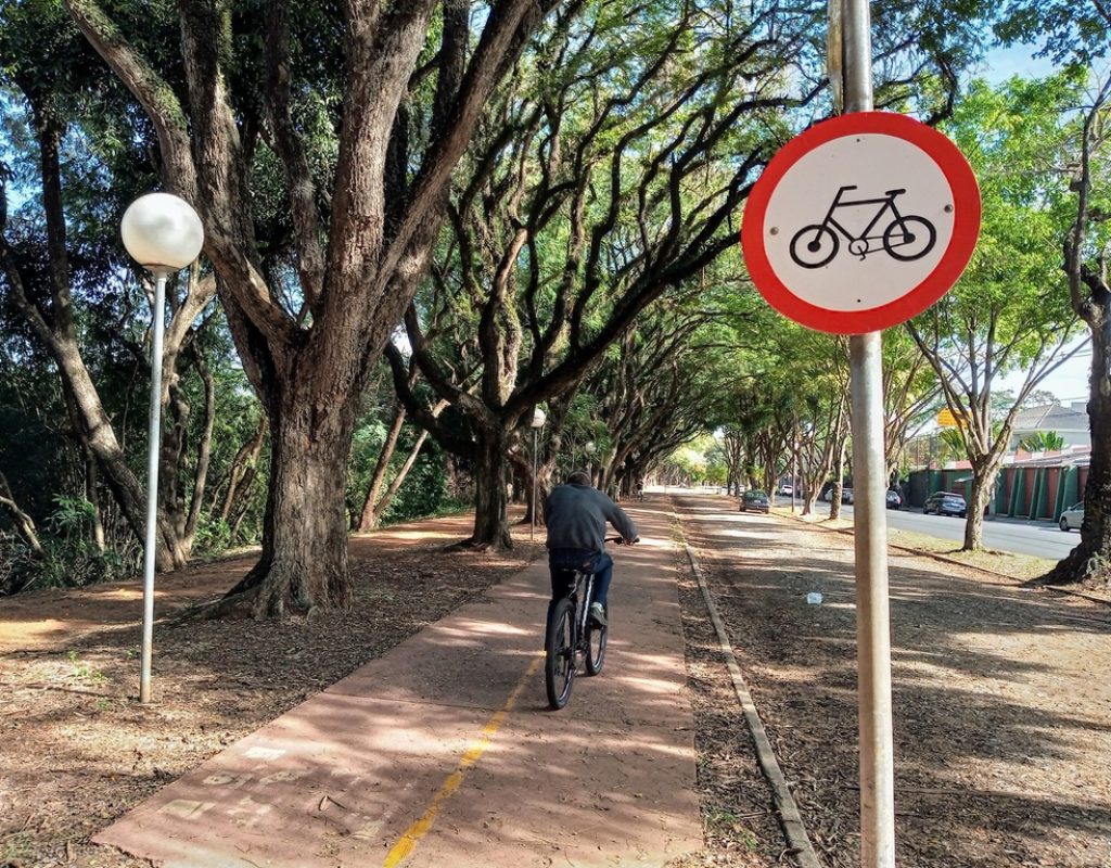 O intuito da obra é recuperar o Parque Linear da Avenida Cruzeiro do Sul, a partir da reforma da ciclovia (1)