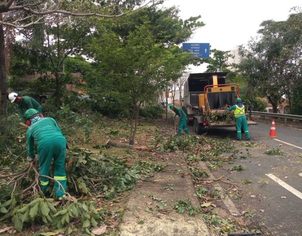 Os resíduos de material verde continuarão de responsabilidade da Prefeitura e serão doados a cooperativas que processam e usam como adubo (1)