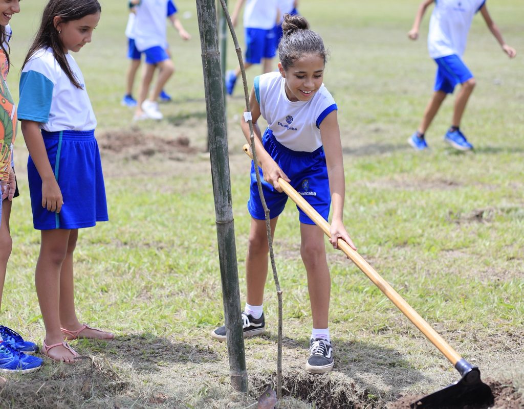 Para ser reconhecida, cidade deveria atender critérios como a existência de plano de ação para o manejo e a conservação de árvores urbanas