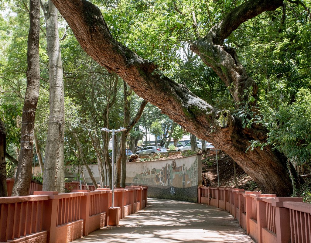 Parque do Mirante é um dos locais do estudo para concessão