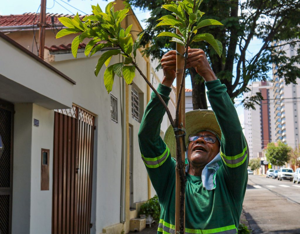 Plantio na rua Dr. Paulo Pinto, 685, no São Dimas, aconteceu na manhã de hoje