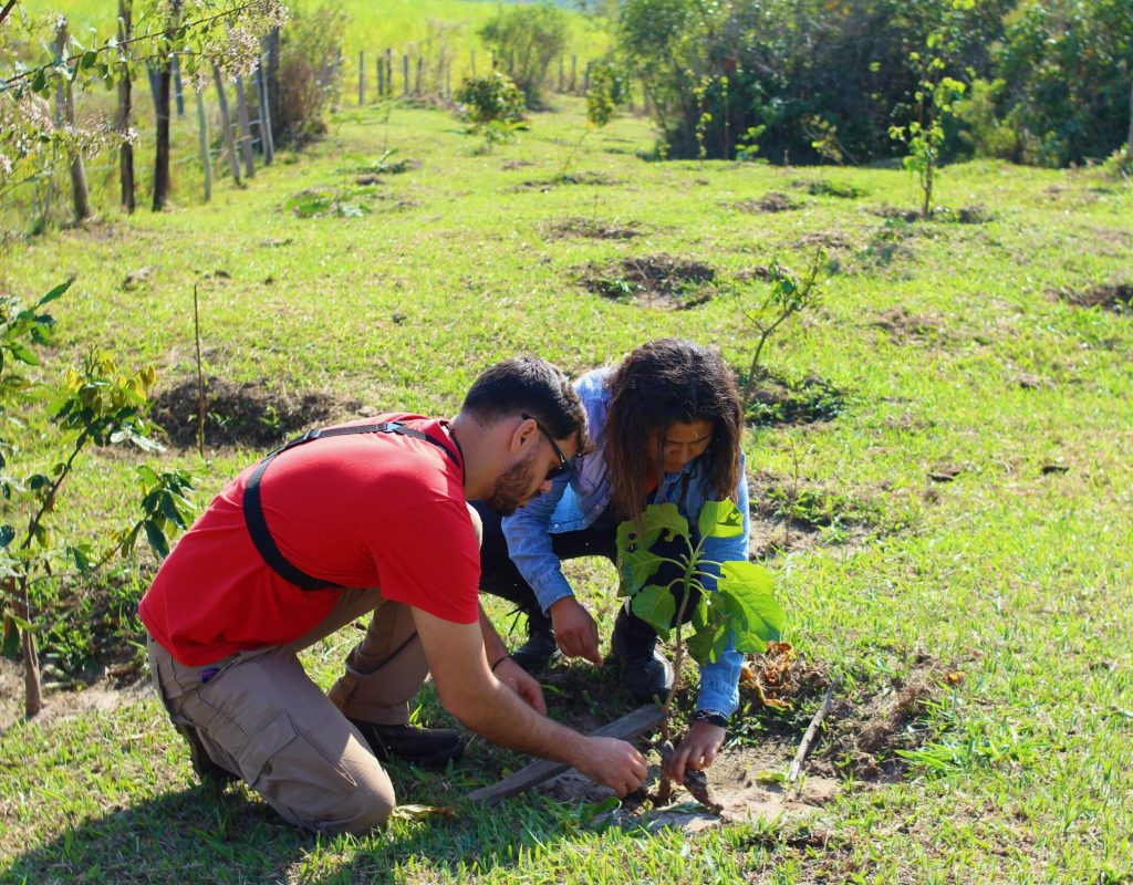 Projeto de restauração ecológica foi realizado por meio do programa PSA e com recursos da Agência das Bacias PCJ_Foto_Thais_Passos_SEMA