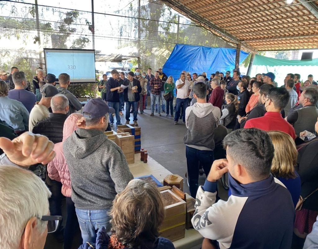 Sema e produtores promovem evento sobre abelhas sem ferrão (1)