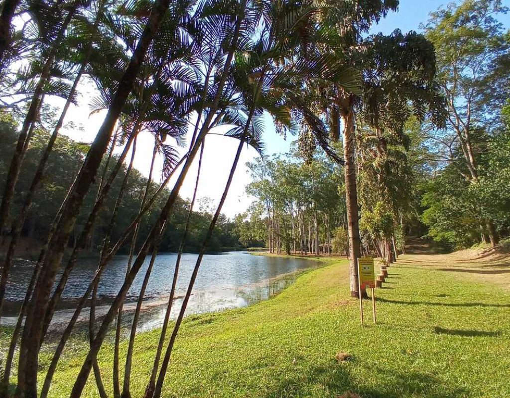 Vista do lago Marcelo, no Horto de Tupi. (Foto: Divulgação)