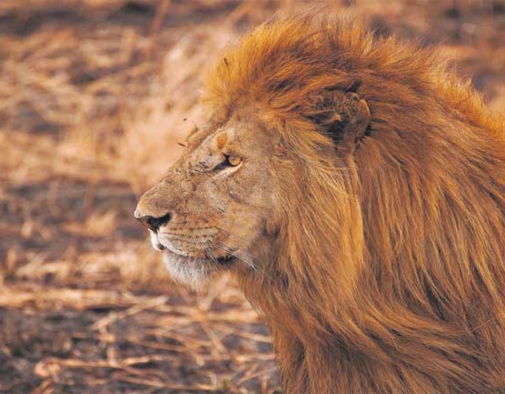 África do Sul