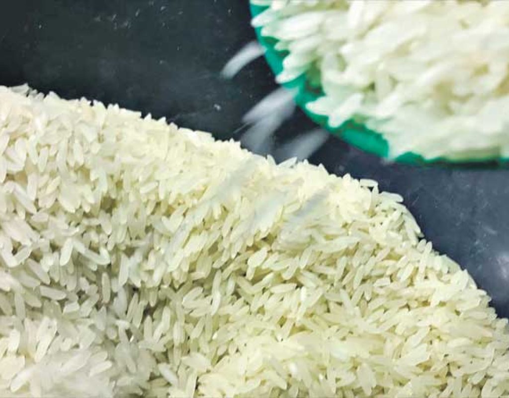 Arroz - Preço dos Produtos Agropecuários