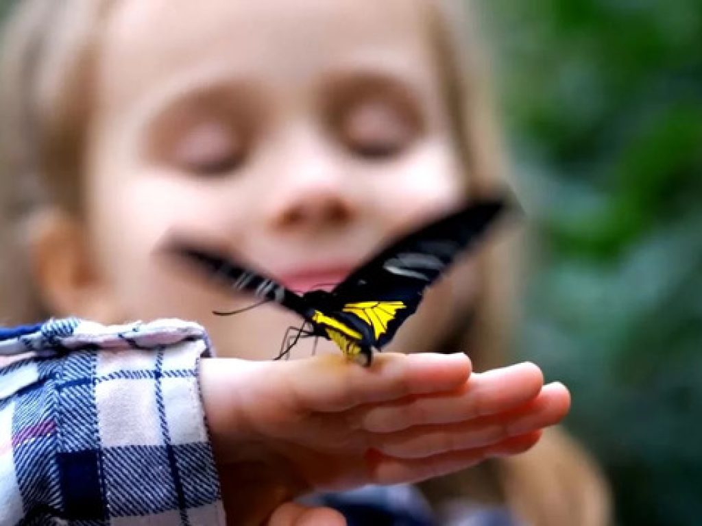 criancas-borboletas