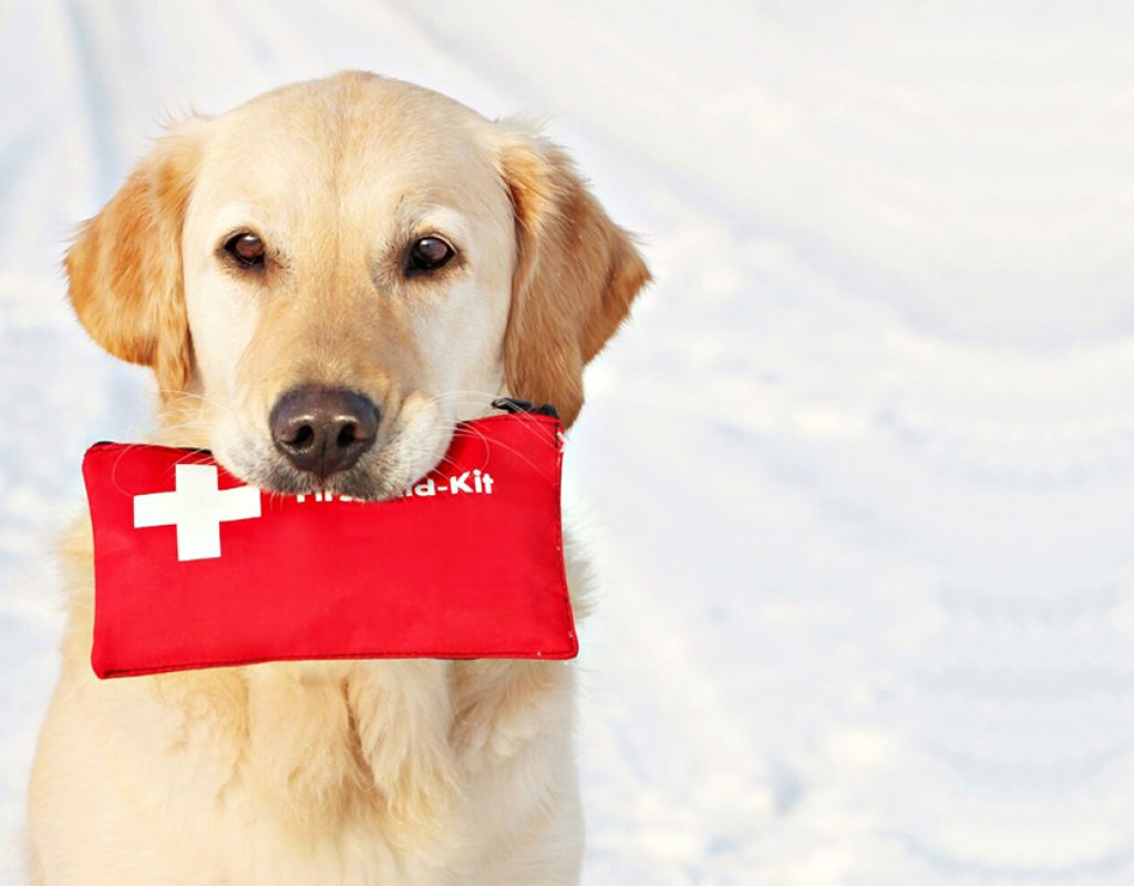 First aid kit concept, medicine equipment set in a suitcase box