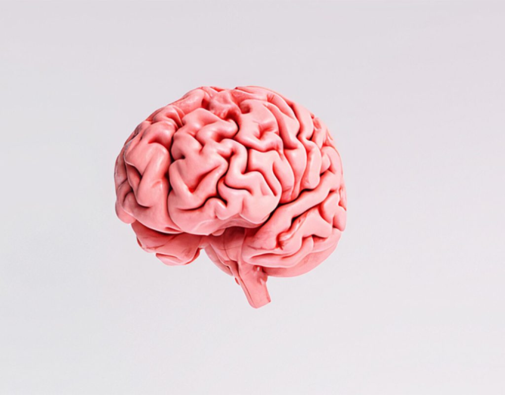 ideal for websites and magazines layouts