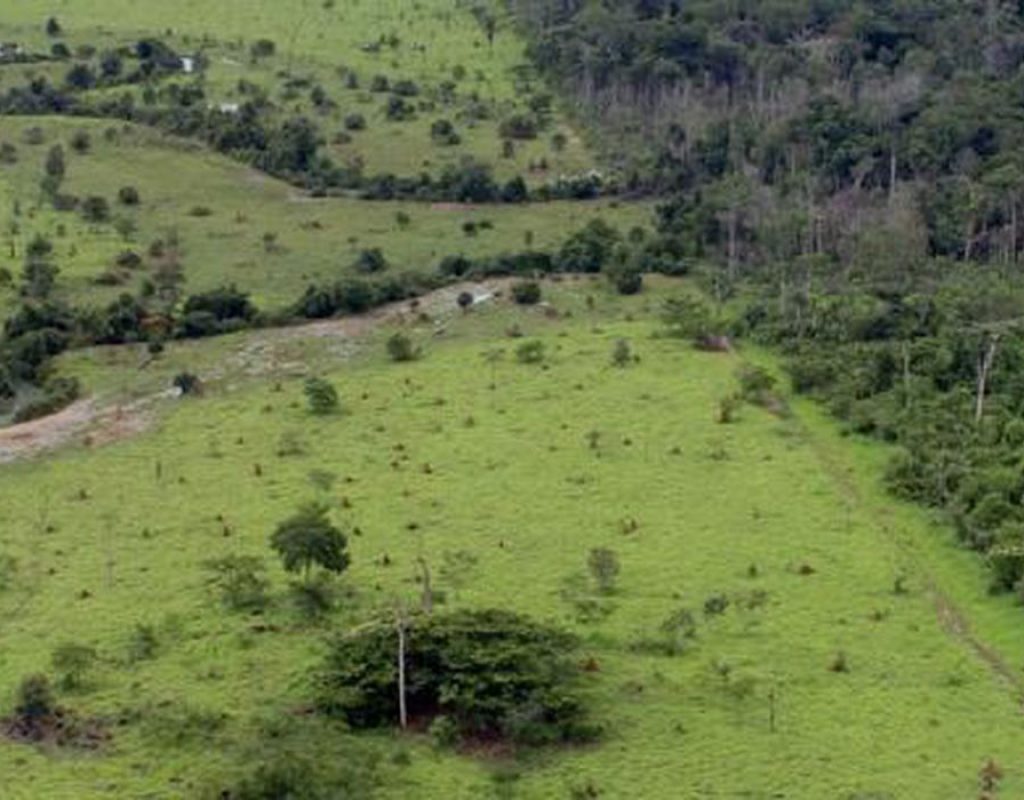 projeto_rural_na_amazonia_-_pnud